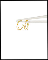 Earrings Fine
